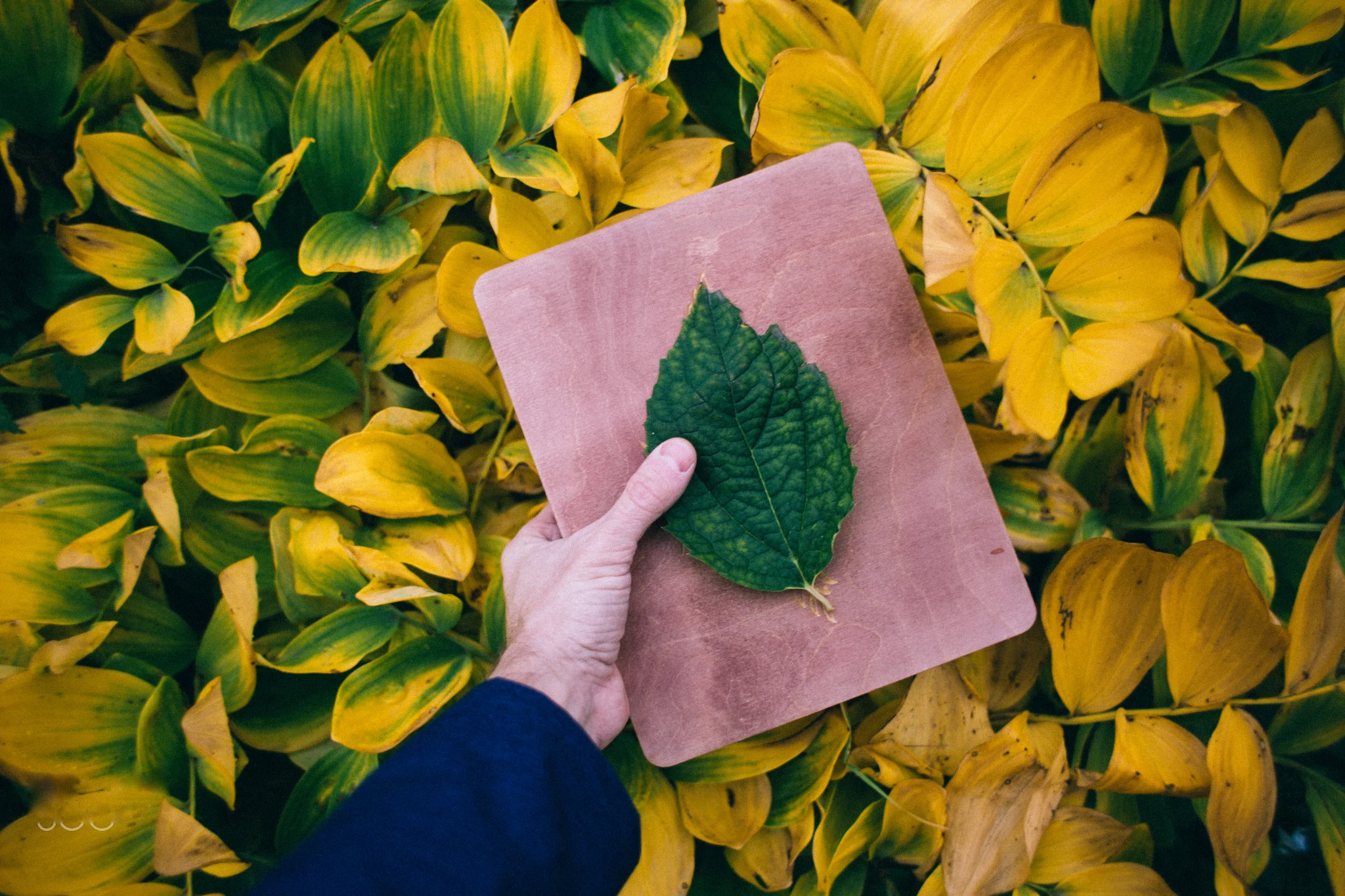 Circular Economy Principles for Supply Chain Emissions Reduction