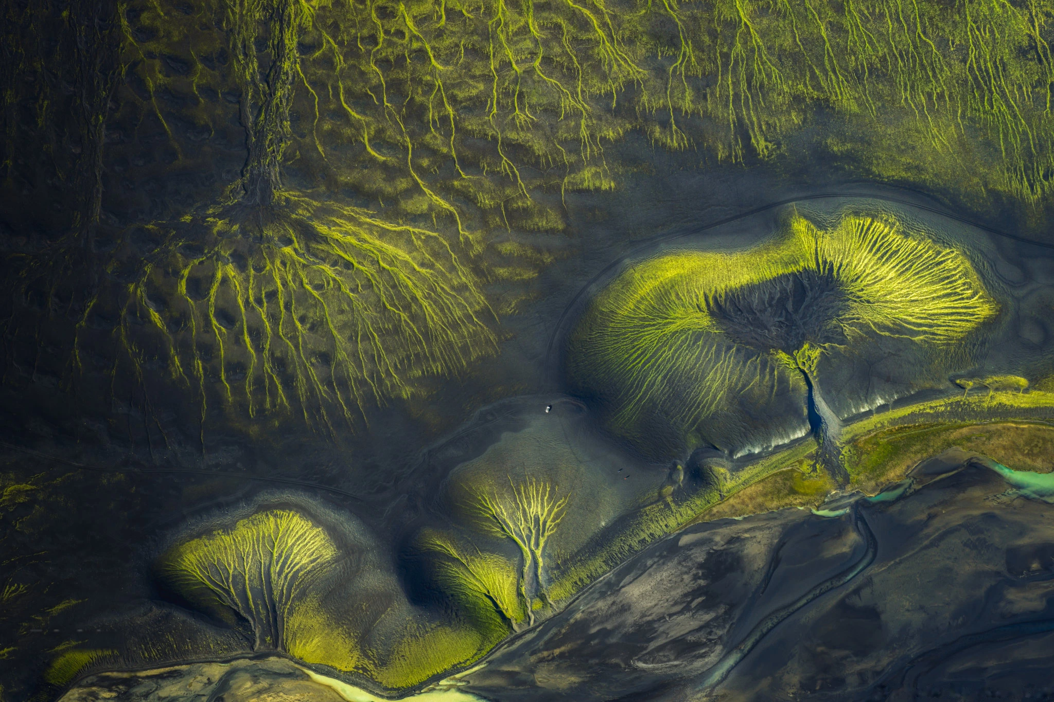 A clear mountain stream running through an alpine meadow beneath rugged peaks