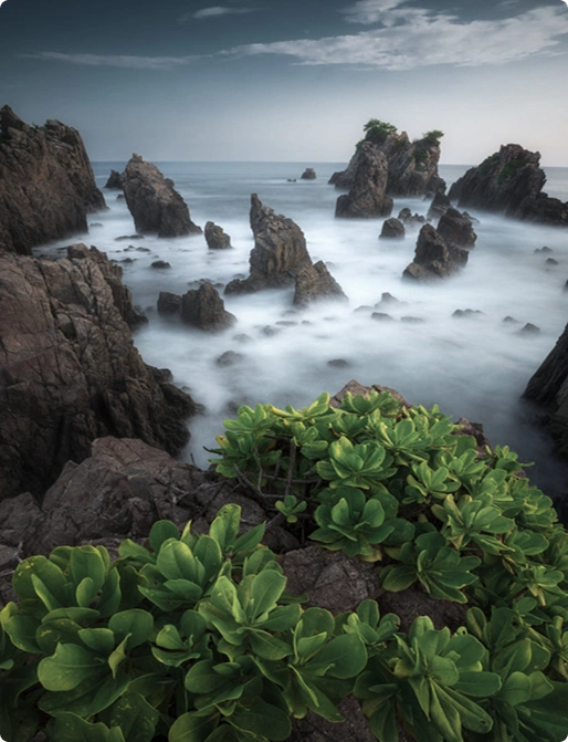 Coastal rock formations and lush greenery