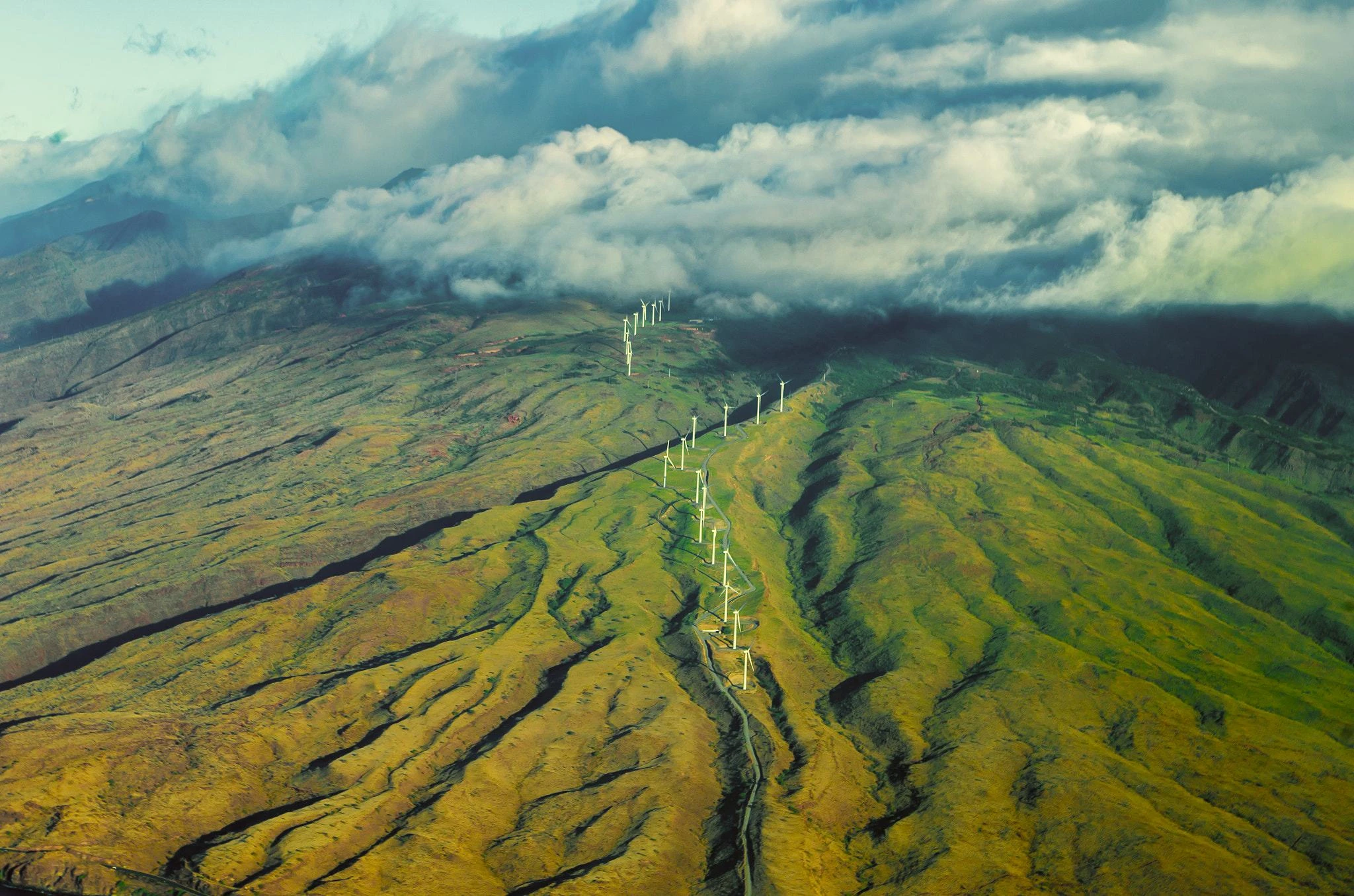 Wind turbines on green misty hillside