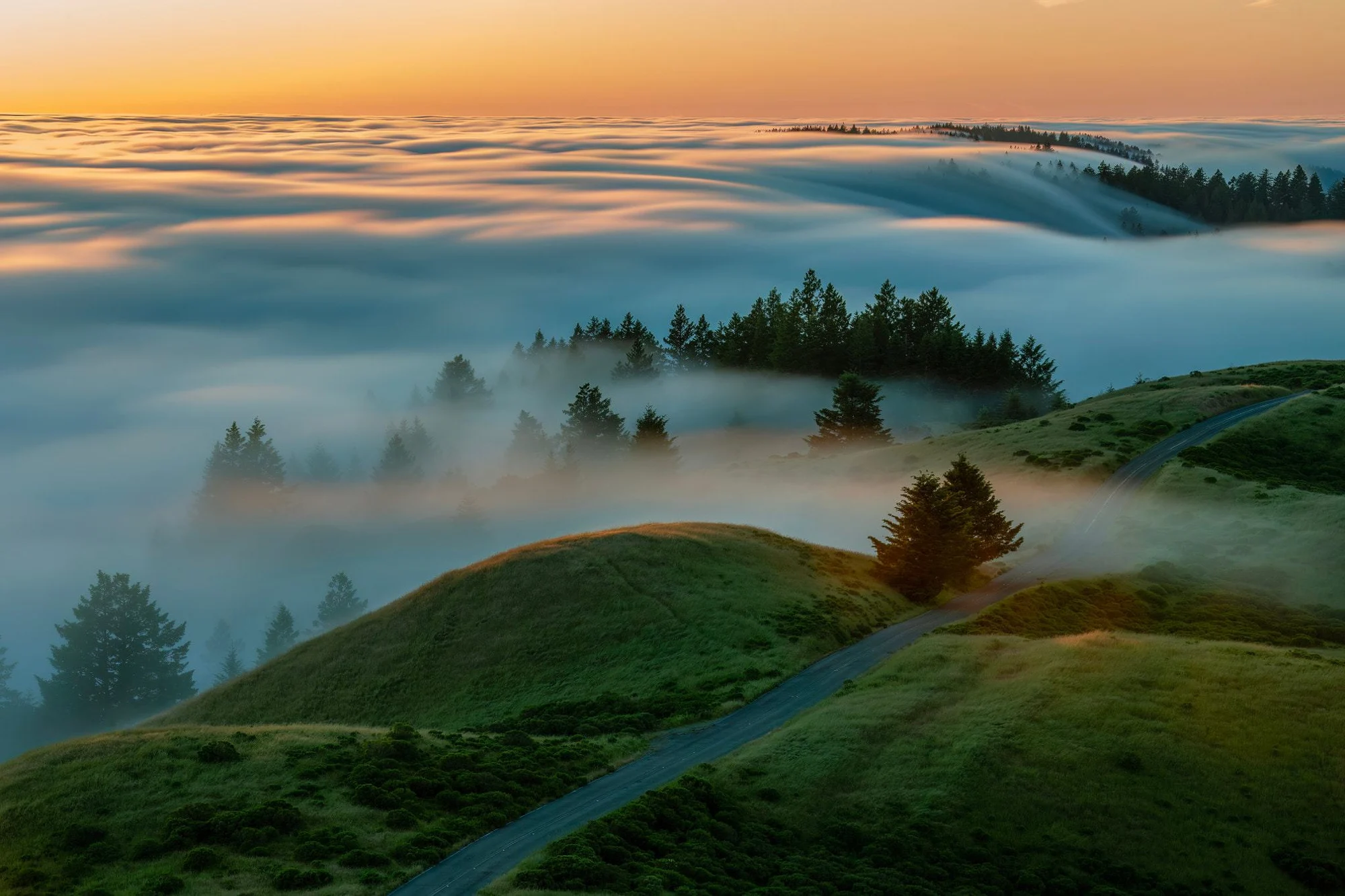 Sunlit mountain forest showing progressive steps of strategy