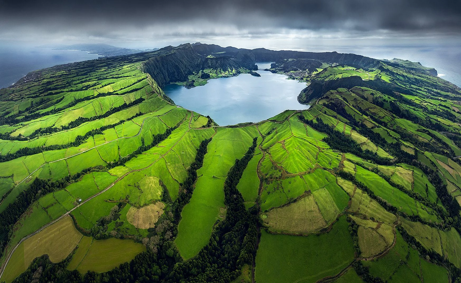 Lush green woodland illustrating adaptable sustainability targets