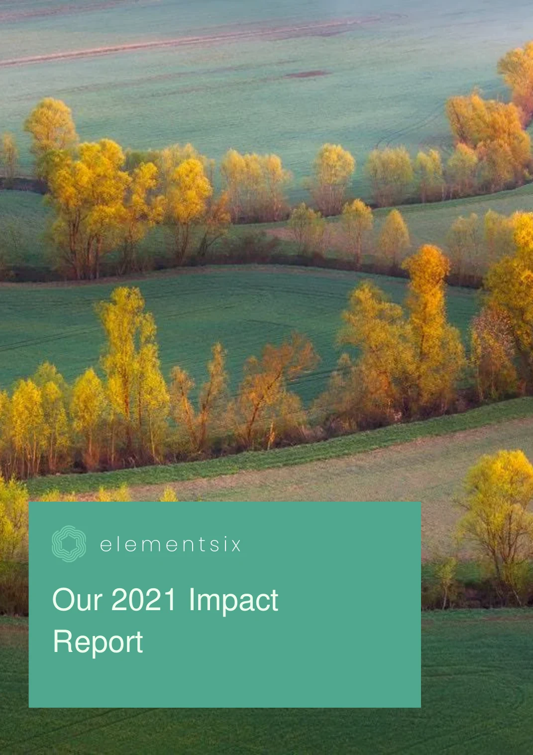 elementsix 2021 Impact Report — page 1 of 23. Open the PDF for selectable text.